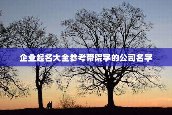 企业起名大全参考带院字的公司名字