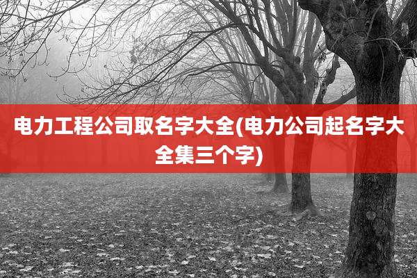 电力工程公司取名字大全(电力公司起名字大全集三个字)
