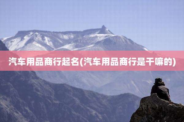 汽车用品商行起名(汽车用品商行是干嘛的)