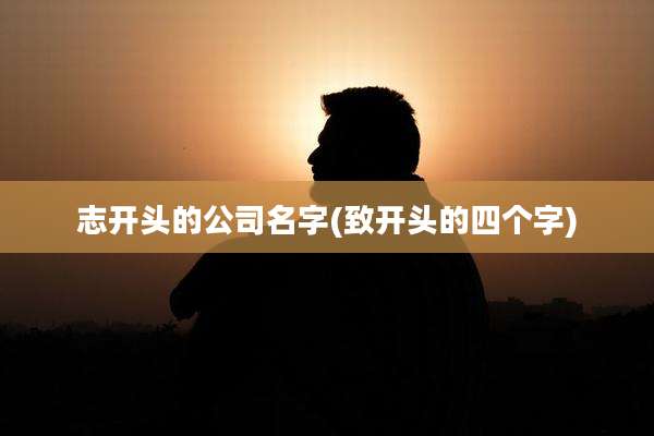 志开头的公司名字(致开头的四个字)