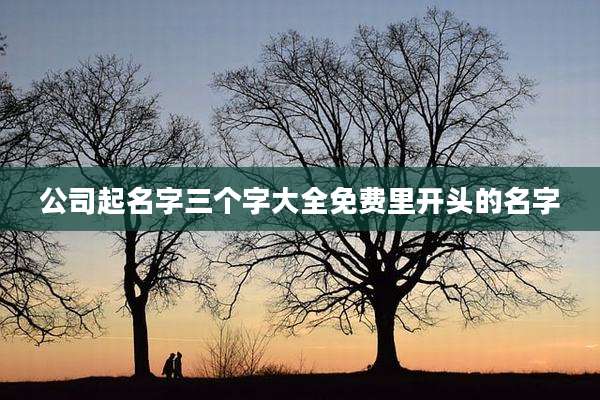 公司起名字三个字大全免费里开头的名字