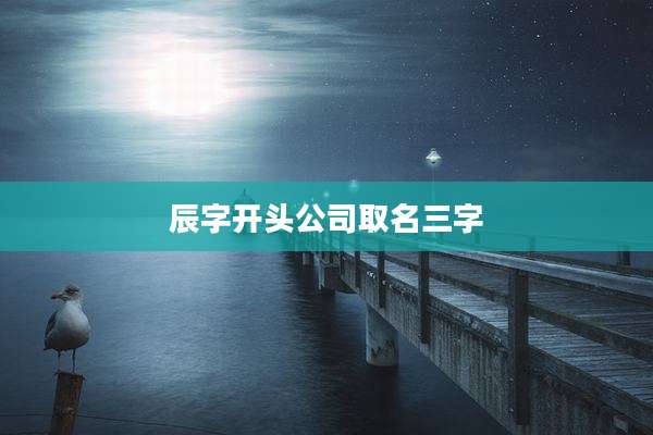 辰字开头公司取名三字