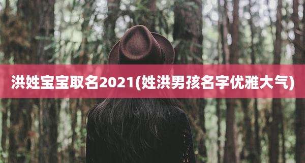 洪姓宝宝取名2021(姓洪男孩名字优雅大气)