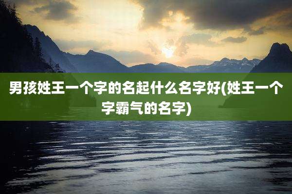 男孩姓王一个字的名起什么名字好(姓王一个字霸气的名字)