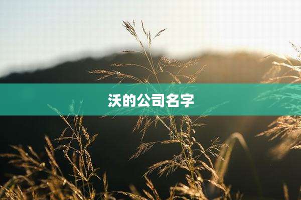 沃的公司名字