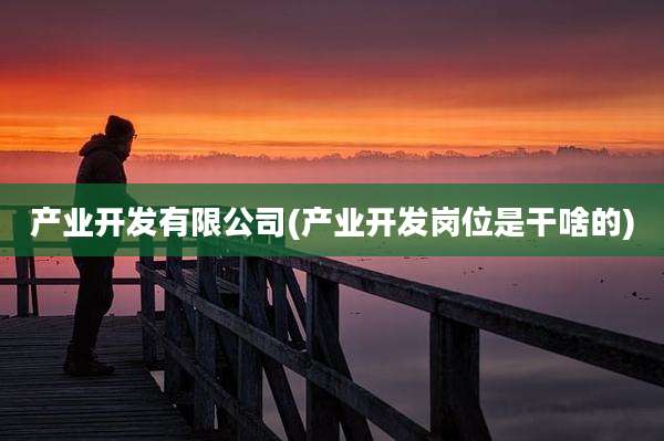 产业开发有限公司(产业开发岗位是干啥的)