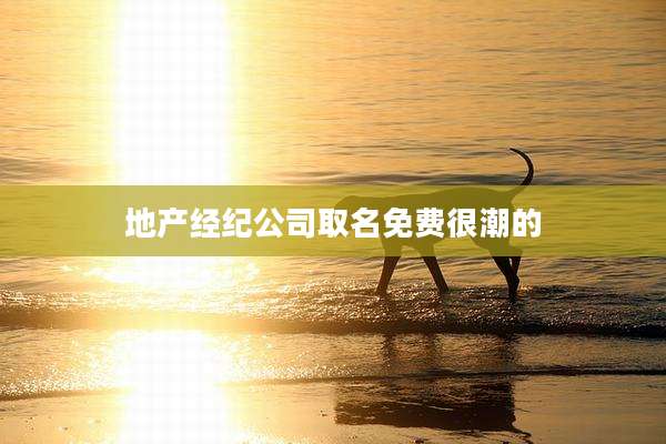 地产经纪公司取名免费很潮的