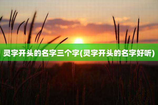 灵字开头的名字三个字(灵字开头的名字好听)