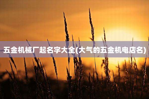五金机械厂起名字大全(大气的五金机电店名)