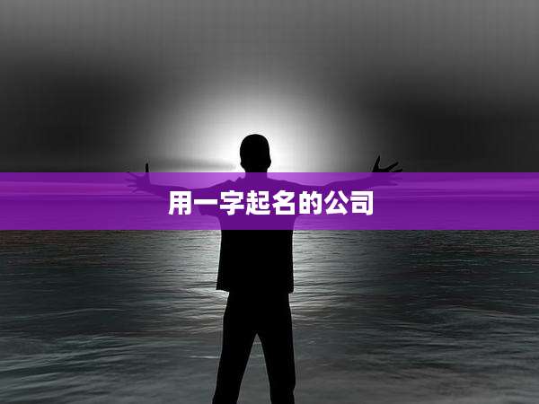 用一字起名的公司