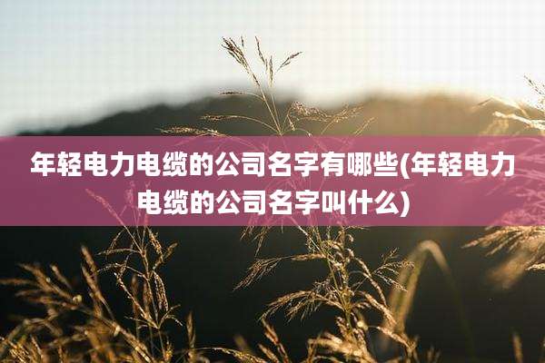 年轻电力电缆的公司名字有哪些(年轻电力电缆的公司名字叫什么)