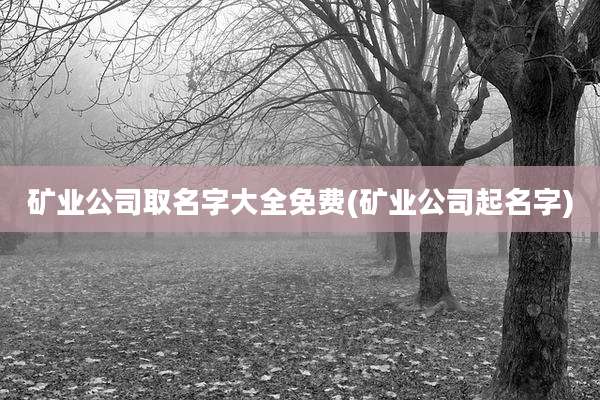 矿业公司取名字大全免费(矿业公司起名字)