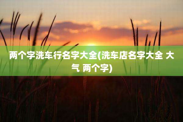 两个字洗车行名字大全(洗车店名字大全 大气 两个字)