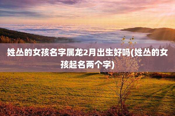 姓丛的女孩名字属龙2月出生好吗(姓丛的女孩起名两个字)