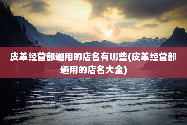 皮革经营部通用的店名有哪些(皮革经营部通用的店名大全)