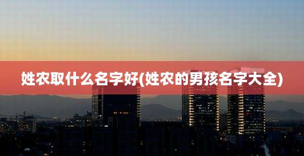 姓农取什么名字好(姓农的男孩名字大全)