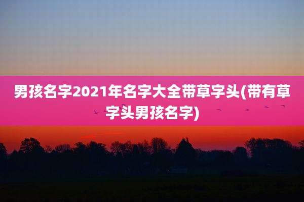 男孩名字2021年名字大全带草字头(带有草字头男孩名字)