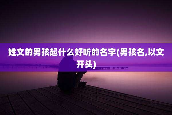 姓文的男孩起什么好听的名字(男孩名,以文开头)