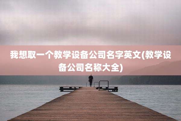 我想取一个教学设备公司名字英文(教学设备公司名称大全)