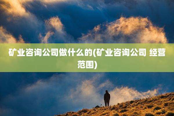 矿业咨询公司做什么的(矿业咨询公司 经营范围)