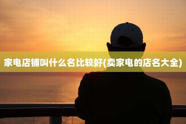 家电店铺叫什么名比较好(卖家电的店名大全)