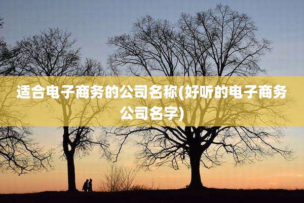 适合电子商务的公司名称(好听的电子商务公司名字)