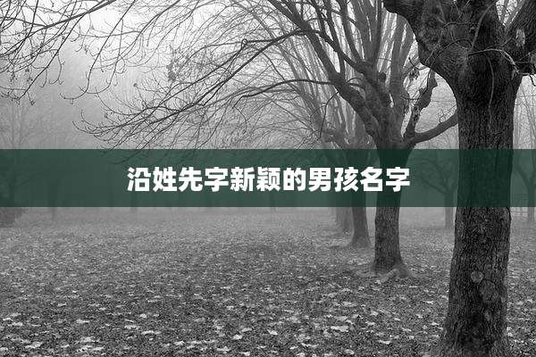 沿姓先字新颖的男孩名字