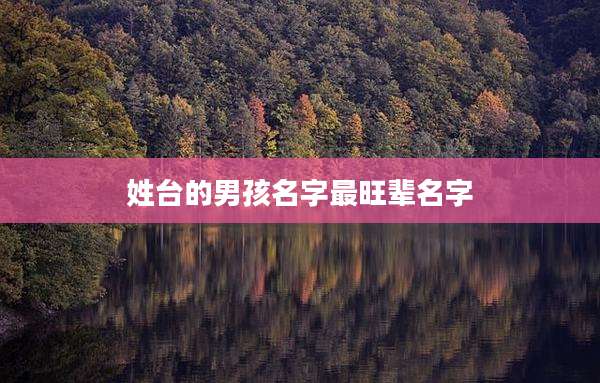 姓台的男孩名字最旺辈名字
