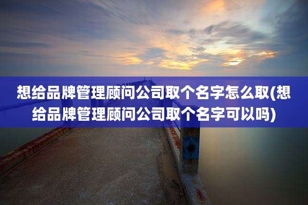 想给品牌管理顾问公司取个名字怎么取(想给品牌管理顾问公司取个名字可以吗)