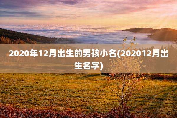 2020年12月出生的男孩小名(202012月出生名字)