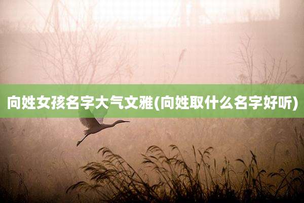 向姓女孩名字大气文雅(向姓取什么名字好听)