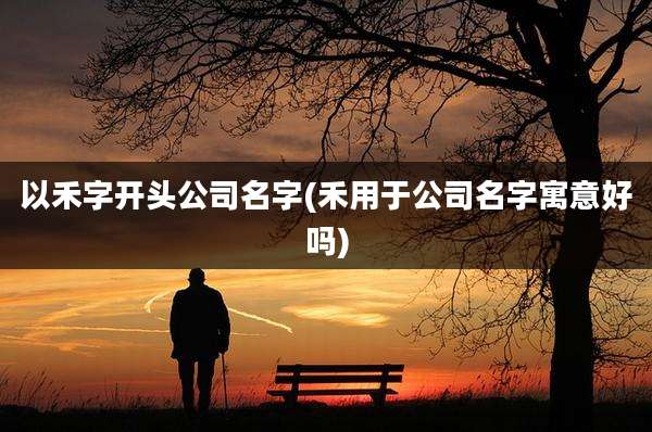 以禾字开头公司名字(禾用于公司名字寓意好吗)
