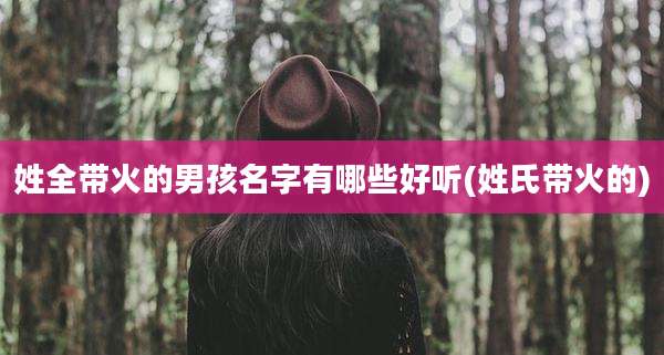 姓全带火的男孩名字有哪些好听(姓氏带火的)