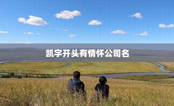 凯字开头有情怀公司名
