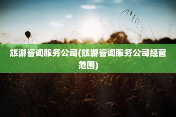 旅游咨询服务公司(旅游咨询服务公司经营范围)