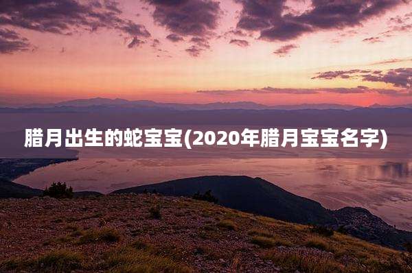 腊月出生的蛇宝宝(2020年腊月宝宝名字)