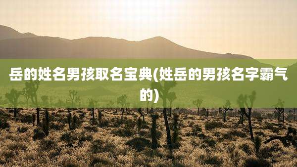 岳的姓名男孩取名宝典(姓岳的男孩名字霸气的)