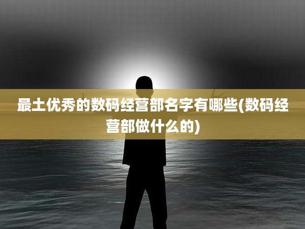 最土优秀的数码经营部名字有哪些(数码经营部做什么的)