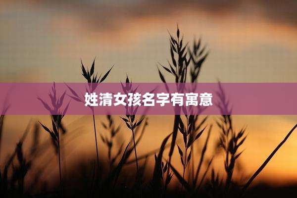 姓清女孩名字有寓意