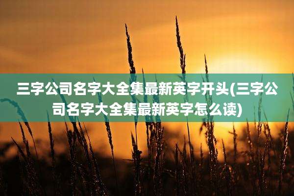 三字公司名字大全集最新英字开头(三字公司名字大全集最新英字怎么读)