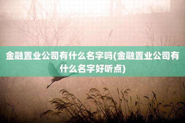 金融置业公司有什么名字吗(金融置业公司有什么名字好听点)