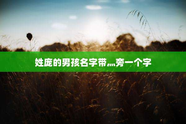 姓庞的男孩名字带灬旁一个字