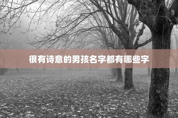 很有诗意的男孩名字都有哪些字