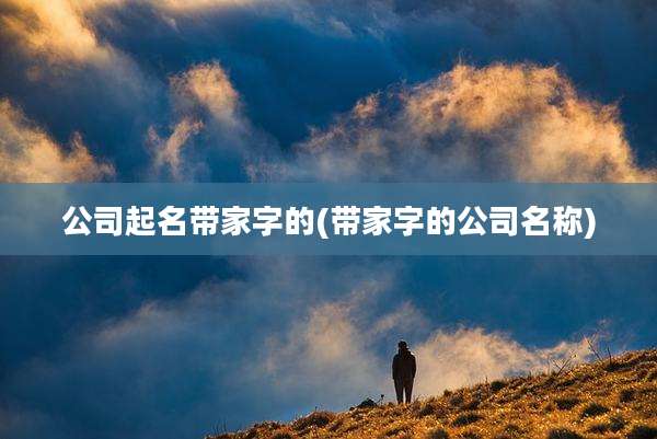 公司起名带家字的(带家字的公司名称)