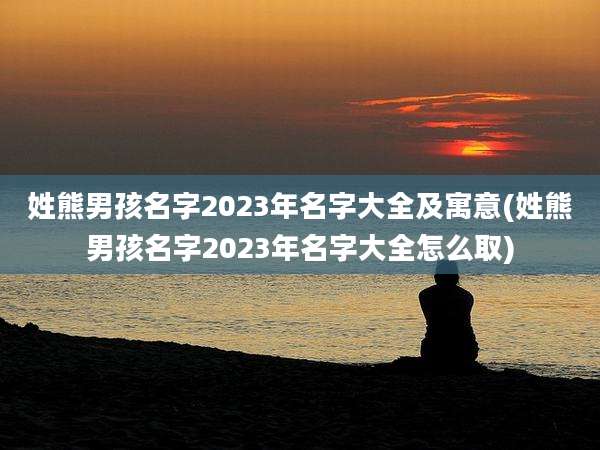 姓熊男孩名字2023年名字大全及寓意(姓熊男孩名字2023年名字大全怎么取)