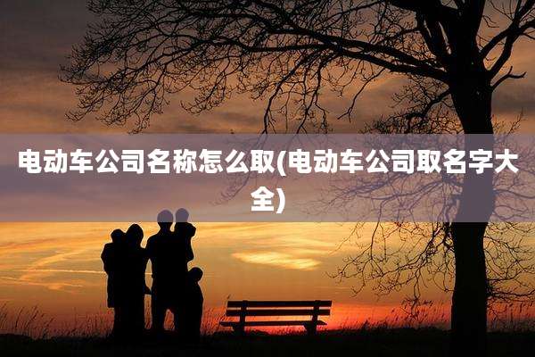 电动车公司名称怎么取(电动车公司取名字大全)