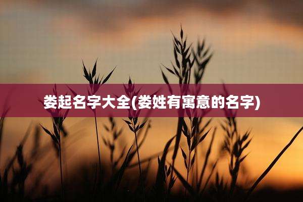 娄起名字大全(娄姓有寓意的名字)