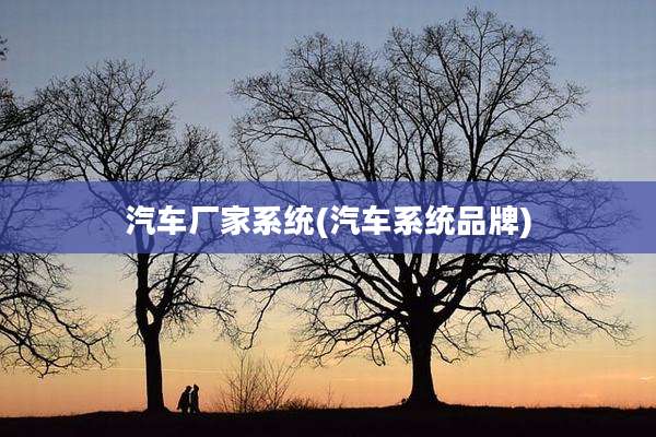 汽车厂家系统(汽车系统品牌)