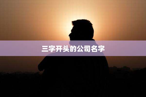 三字开头的公司名字
