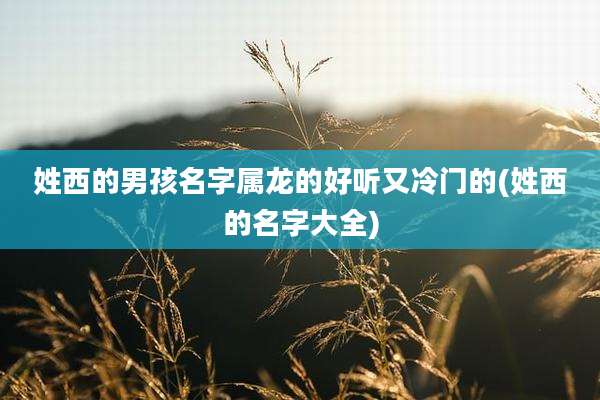 姓西的男孩名字属龙的好听又冷门的(姓西的名字大全)